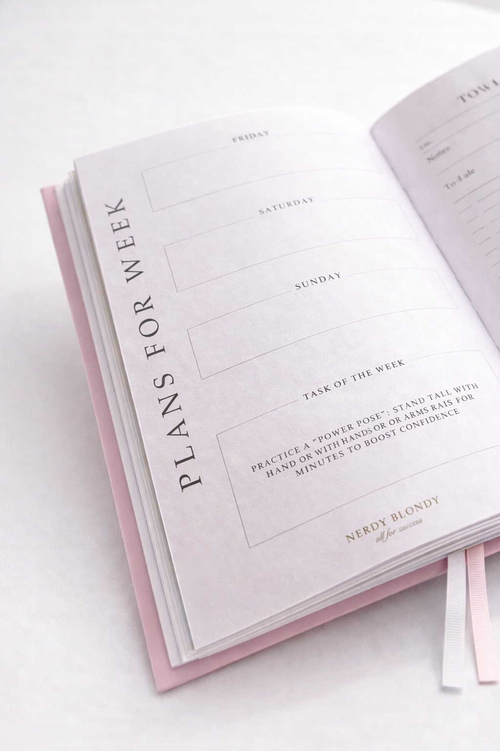 PRE-ORDER Planner "THIS IS MY YEAR"